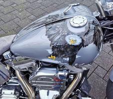 Adler-auf-Motorrad