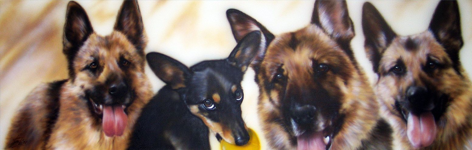 Vier Hunde nebeneinander.