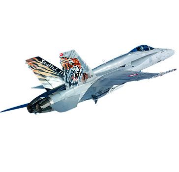 Ein Jet der Staffel 11 fliegt hoch, mit Tigermuster-Lackierung an den Flügeln.