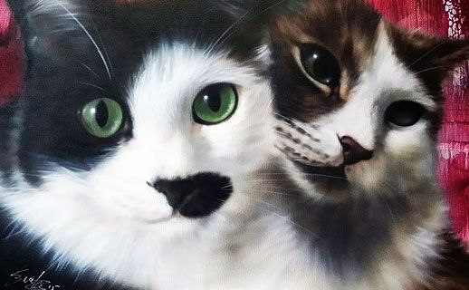 Zwei Katzen, die linke hat ein schwarz-weißes Gesicht und grüne Augen, die rechte ist braun-weiß.
