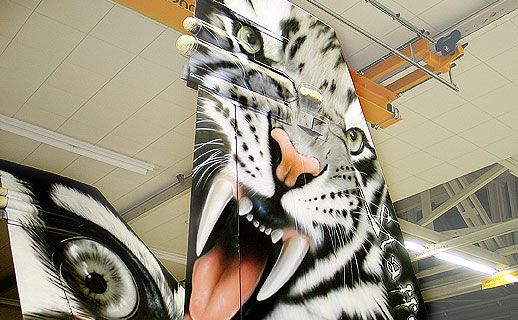 Jet mit Tigermuster-Lackierung an den Flügeln.